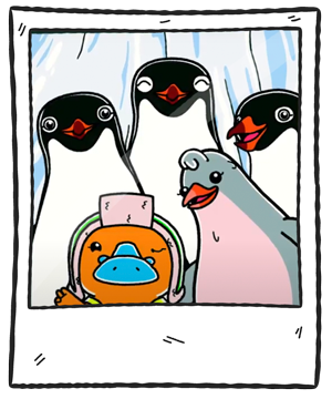 pinguinosMarco
